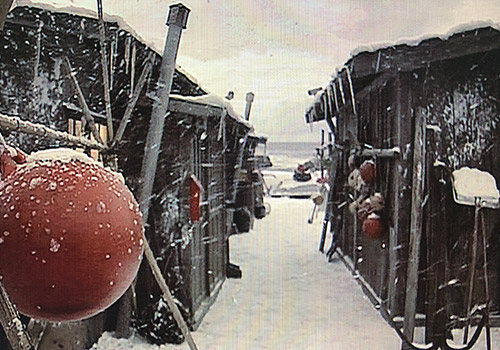 やまとなでしこ