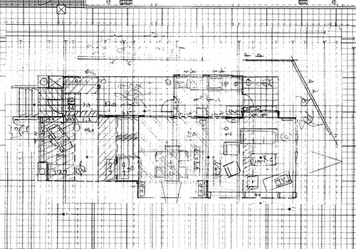 やまとなでしこ