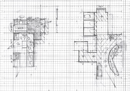 やまとなでしこ