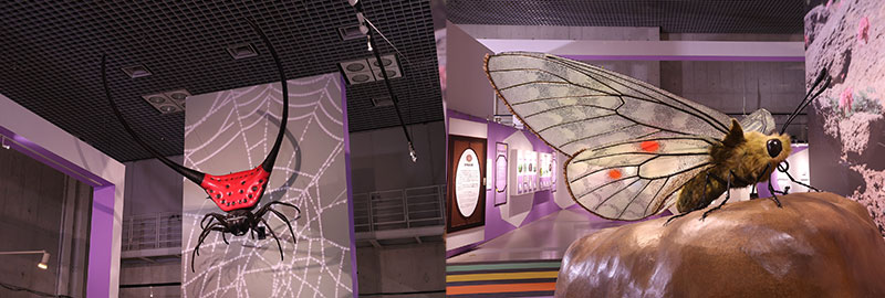 巨大模型がお迎え　左 ： オオナガトゲグモ」  右 : ウスバキチョウ