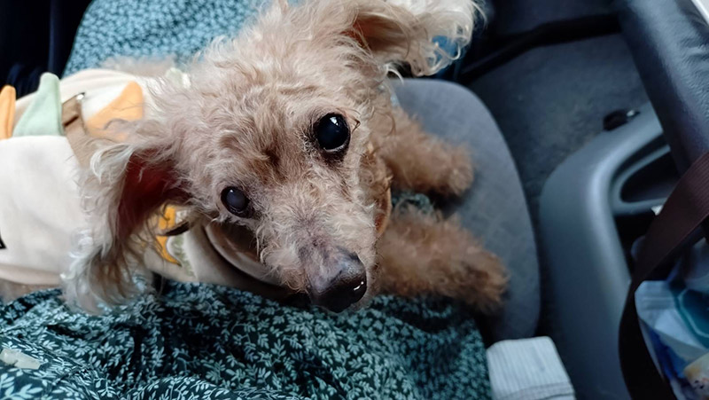 佐々木 彩乃 Ayano SASAKI