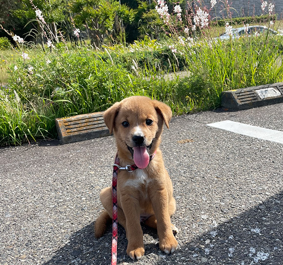 三枝 知香子 Chikako SAIGUSA