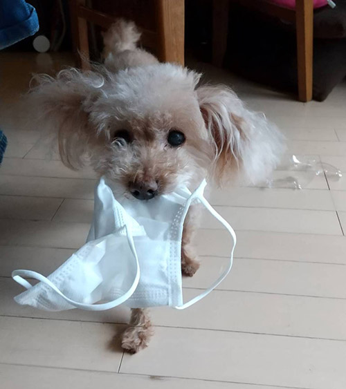 永見 千代乃 Chiyono NAGAMI