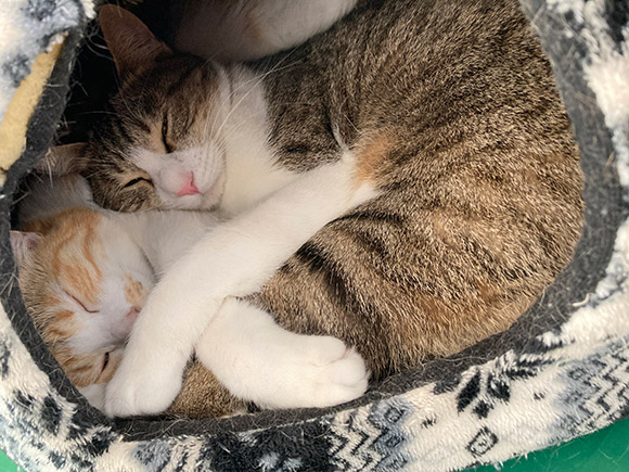 戸田 晴登 Haruto TODA