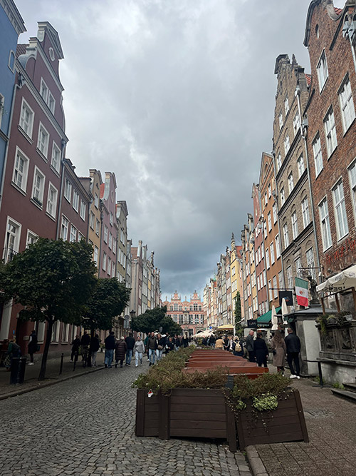 和田 薫子 Kaoruko WADA