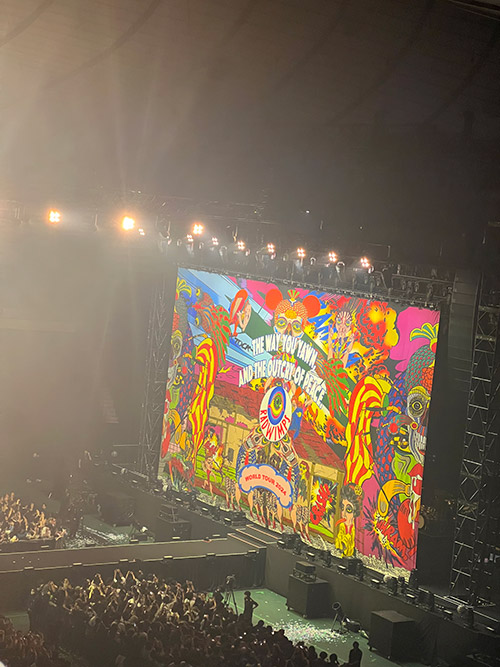 本田 ルーカス 剛史 Lucas Tsuyoshi HONDA