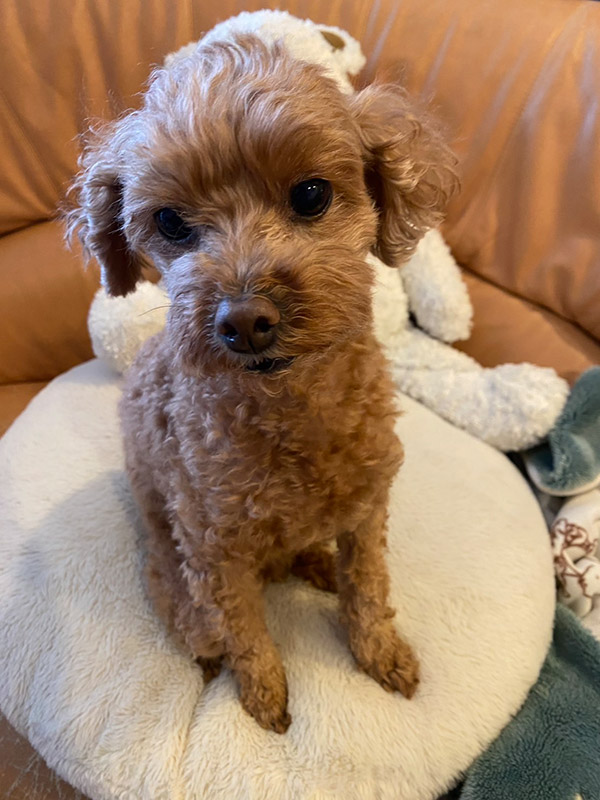 岡 万佑子 Mayuko OKA