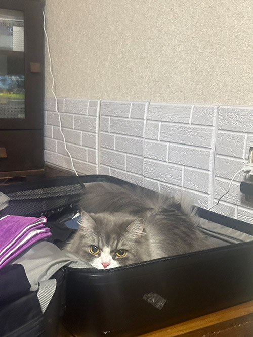 渡辺 倫果 Rinka WATANABE