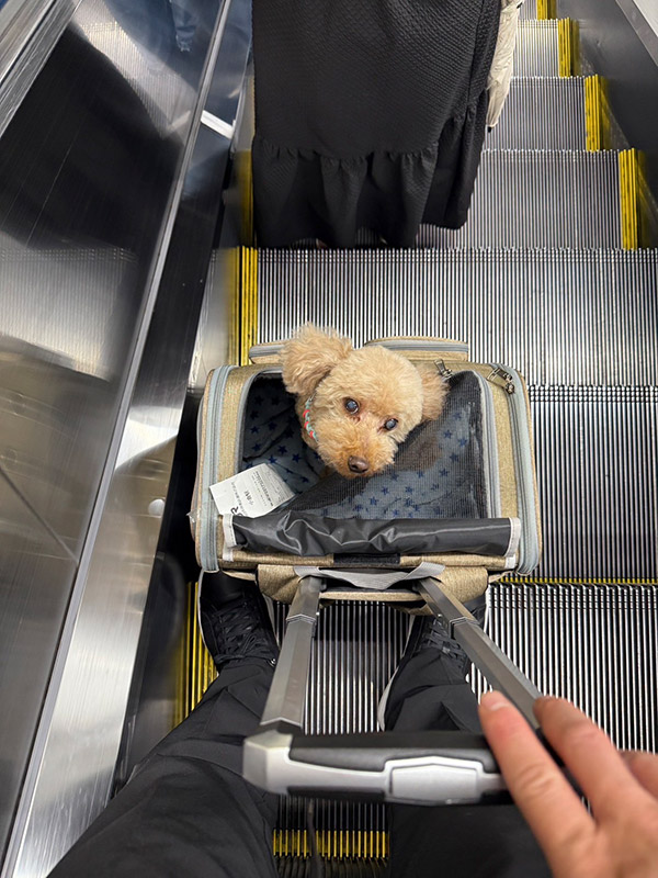 中田 璃士 Rio NAKATA