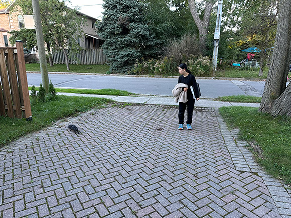 木原 龍一 Ryuichi KIHARA