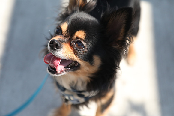 三宅 咲綺 Saki MIYAKE