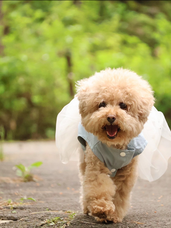 中村 俊介 Shunsuke NAKAMURA