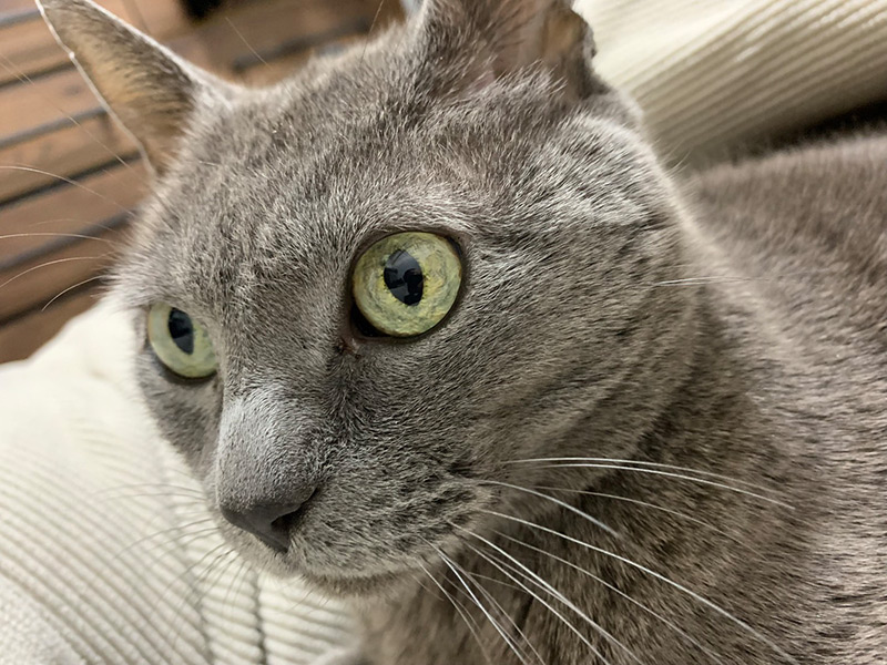 山本 草太 Sota YAMAMOTO