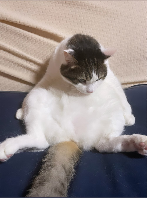 森口 澄士 Sumitada MORIGUCHI