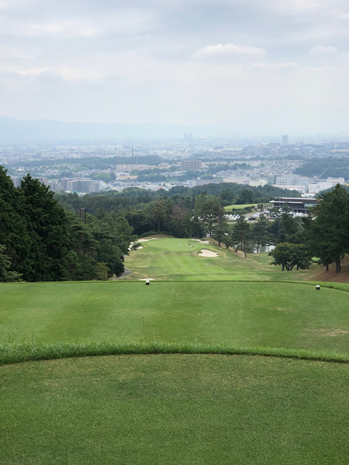 本田 太一 Taichi HONDA
