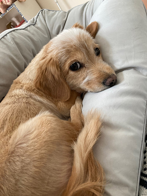 山隈 太一朗 Taichiro YAMAKUMA